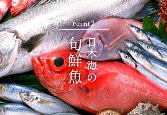 Point2 日本海の旬鮮魚