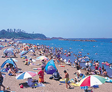 鷹巣海水浴場