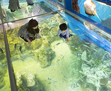 越前松島水族館