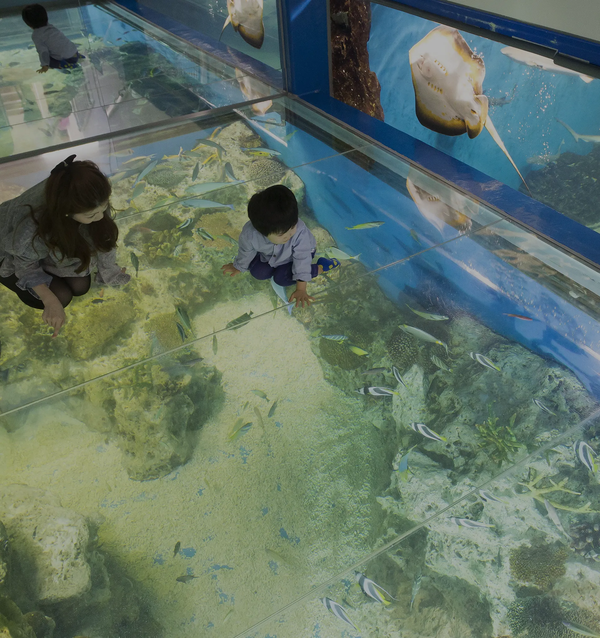 越前松島水族館