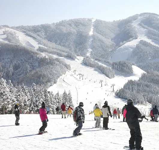 スキージャム勝山
